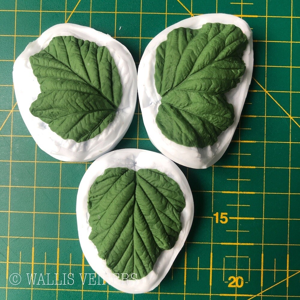 BLACKBERRY Leaf Veiner Set of 3 + Cutters ( Optional )
