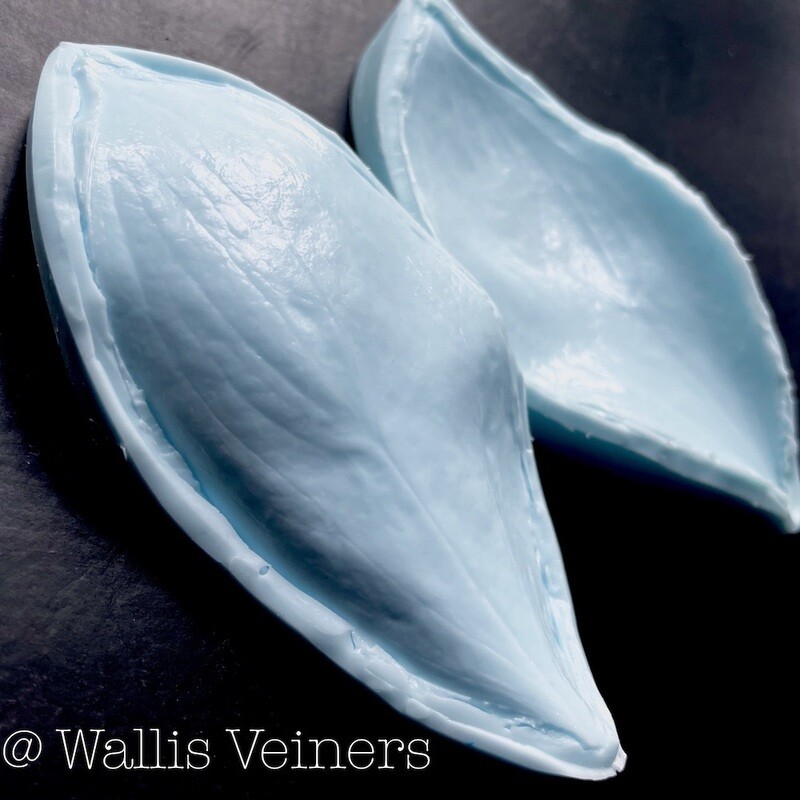 Ruscus Veiner, Leaf  L  + Set of 3 Cutters  ( Optional )