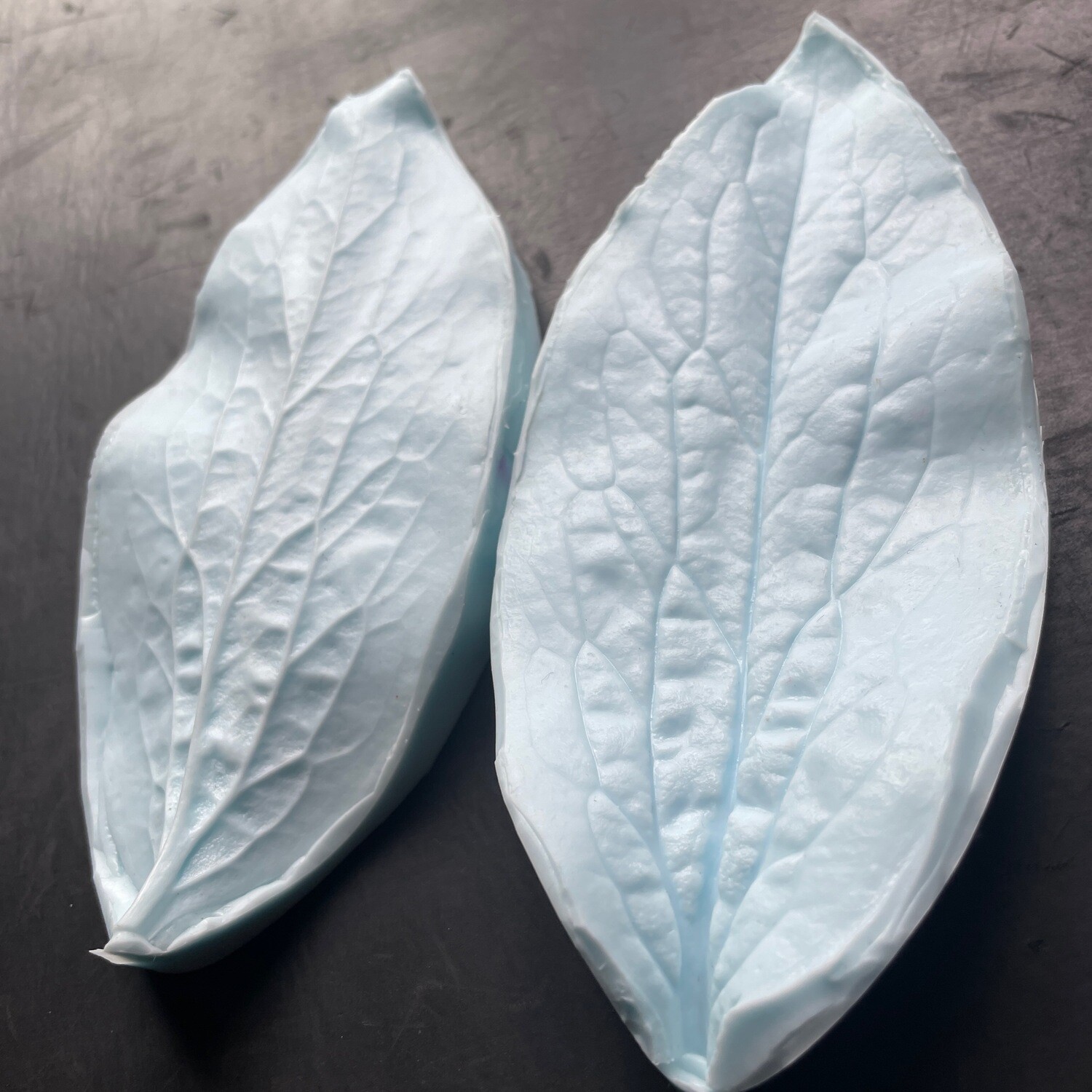 PEONY Universal  LEAF  Veiner XL