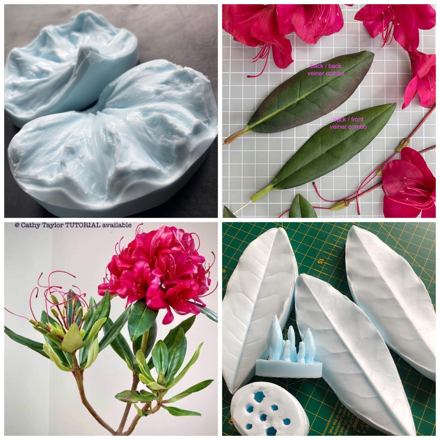 RHODODENDRON Leaf/ Petal/ Foliage Mold + Cutters ( Optional )