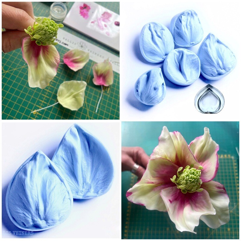 HELLEBORE / WINTER ROSE Veiner Mold / Mould Selection of 5  + Cutters, Optional
