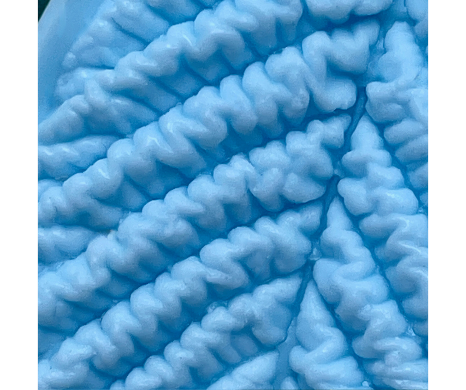 Great Small Leaf veiner ( mold )  + 2 cutters ( optional )