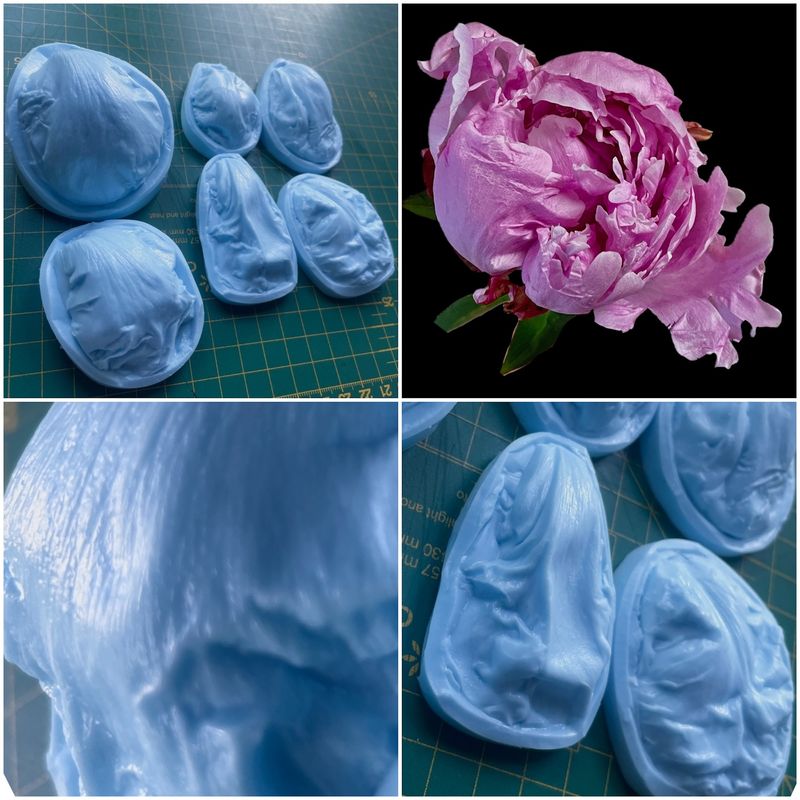 Peony, Pink &#39;Sarah Bernhardt &#39; Veiner ( mold ) Set of 6 + 8 Cutters , Optional... semi-open bloom