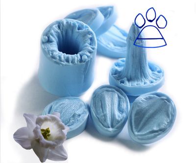 DAFFODIL  4 x Veiner Set + Cutters ( Optional)