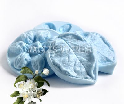 APPLE  Blossom &amp; Apple Leaf VEINER Bundle