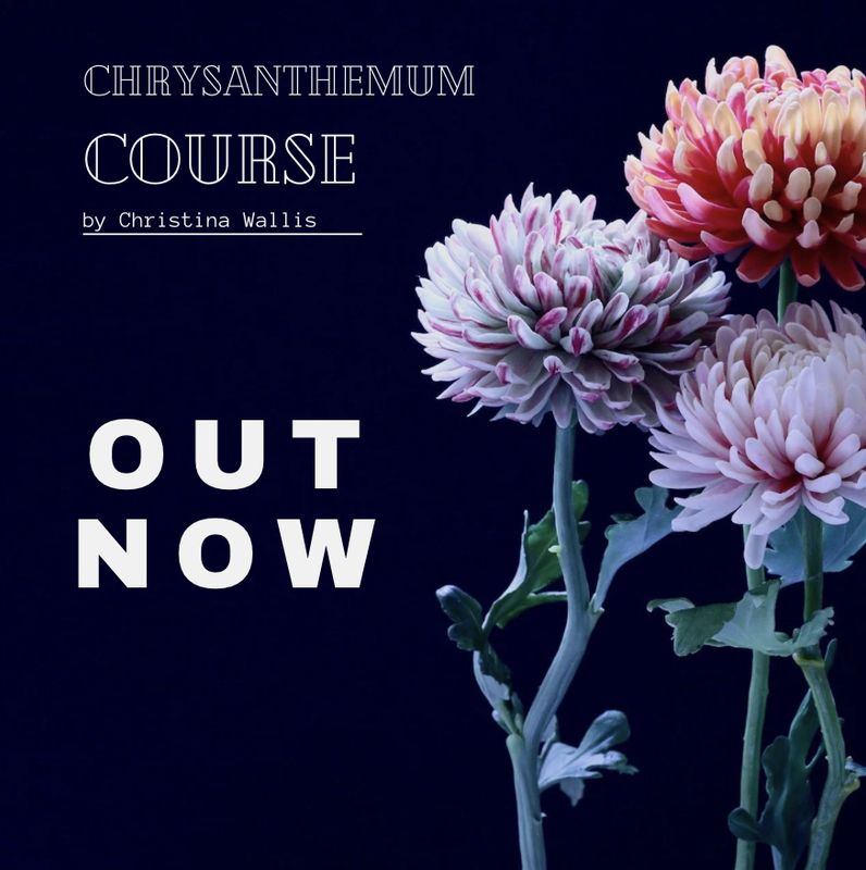 CHRYSANTHEMUM COURSE,   2+ hours, 17 Lessons