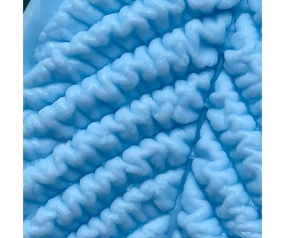 Great Small Leaf veiner ( mold )  + 2 cutters ( optional )