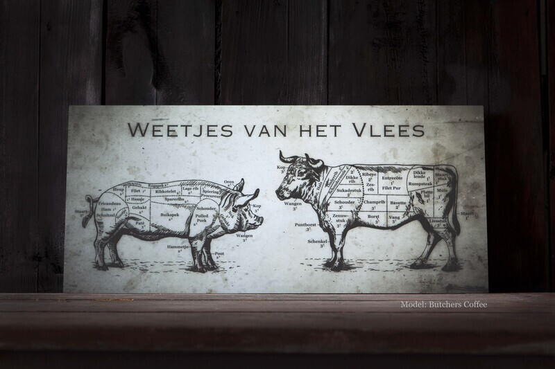 Vlaamse modellen