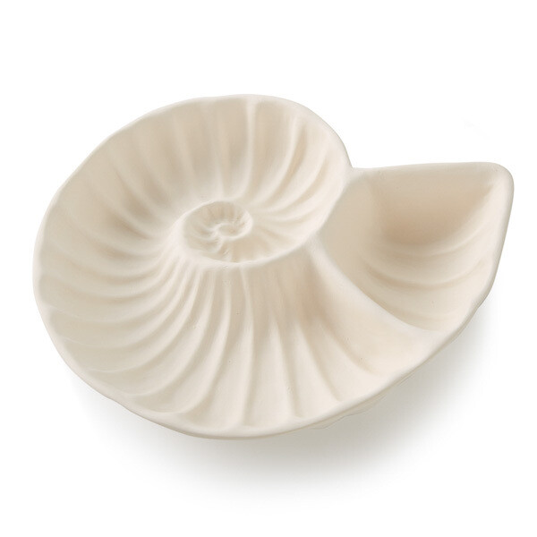 Nautilus Chip and Dip