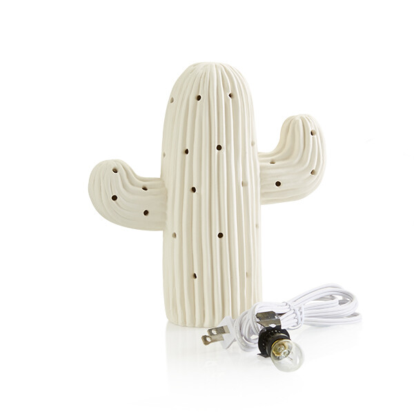 Cactus Light Up