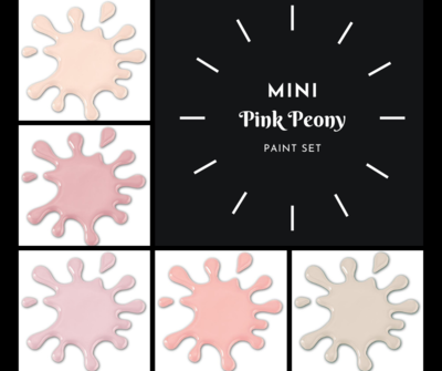 Mini "Pink Peony" Paint Set (5 Colors)