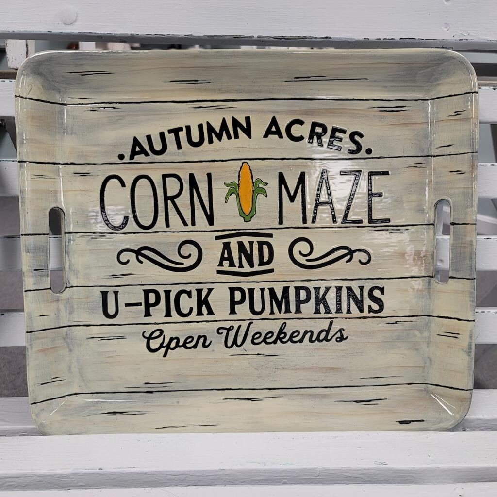 Farm Fresh Platter - Corn Maze with Project Guide & Paint Kit