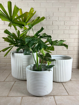 Stripe Pot