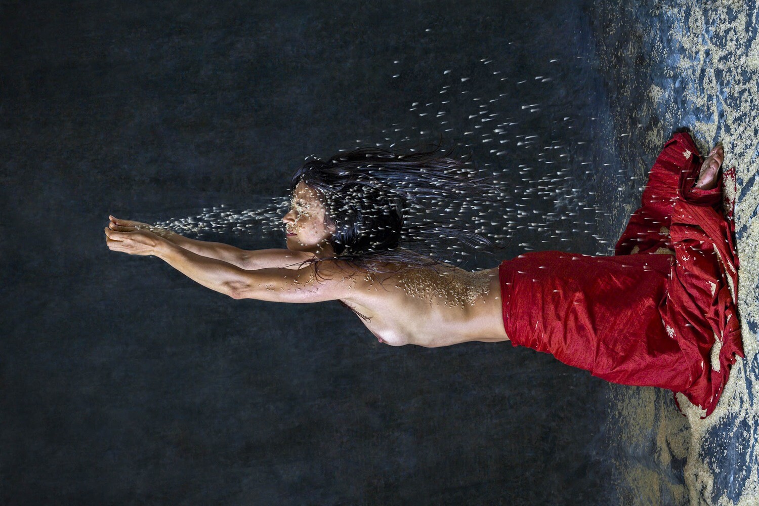 Bodies in Motion