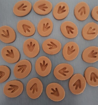 Dinosaur Mud Print (12) Cupcake &amp; Cake Toppers