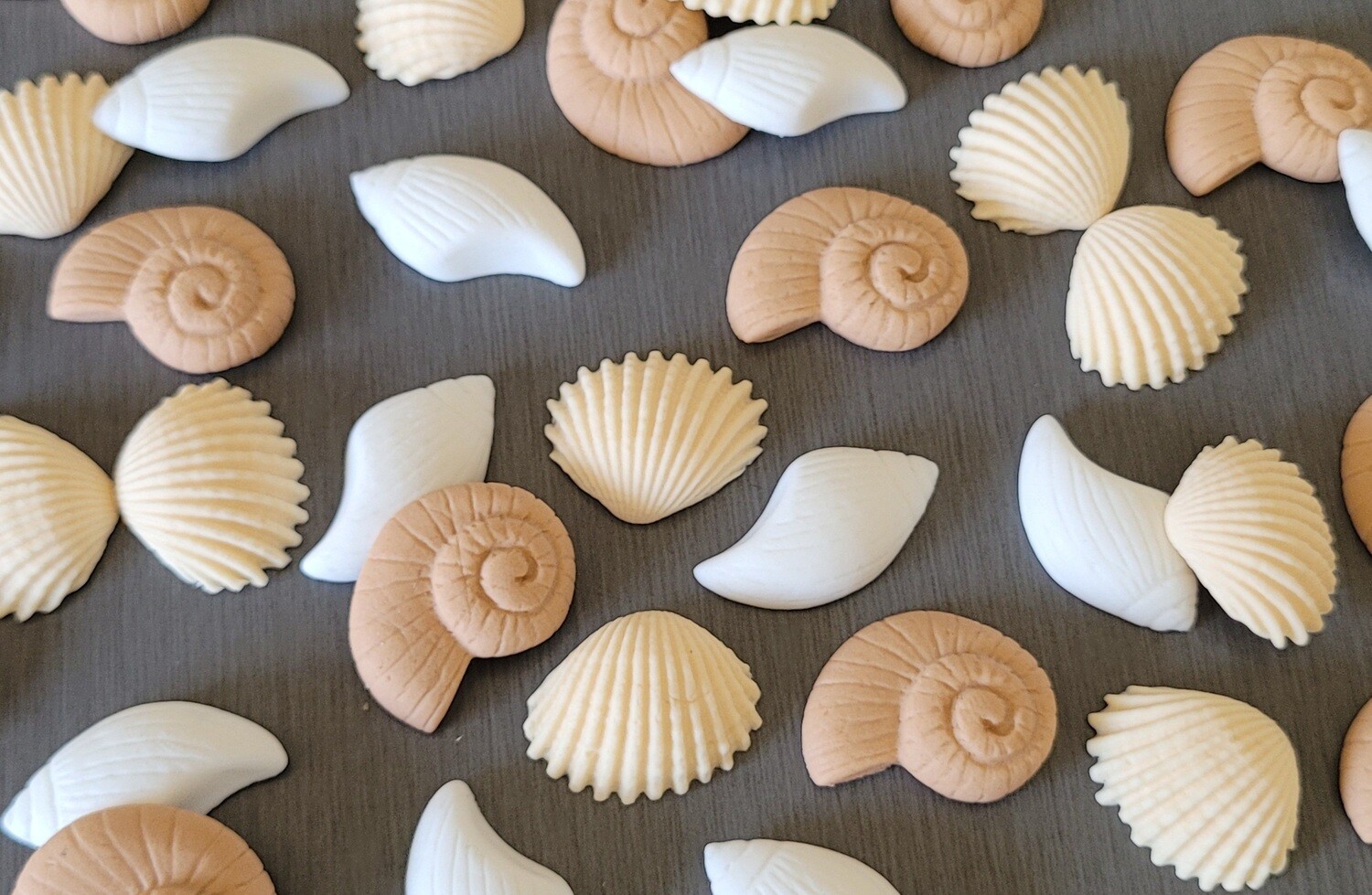 Seaside Cake Toppers, Pick Topper: Shells (12)