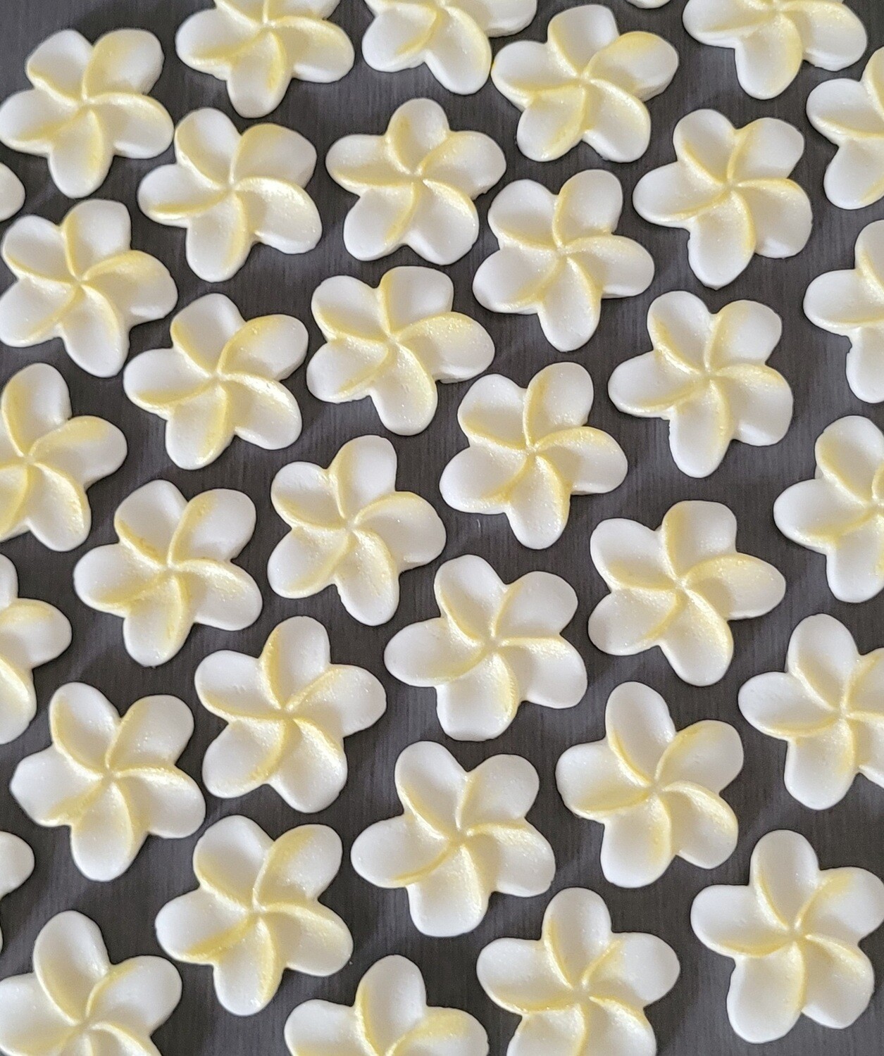 Frangipani Flower (6) Cupcake &amp; Cake Toppers