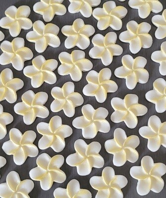 Frangipani Flower (6) Cupcake &amp; Cake Toppers