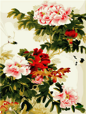 Chinese Peony