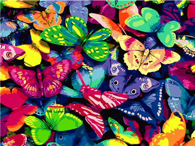 Colorful Butterflies