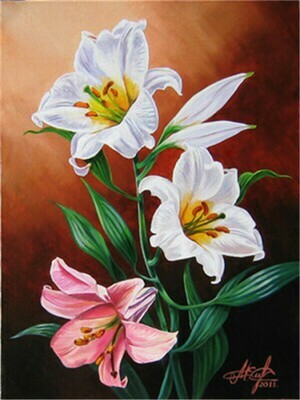 Pink and White Lilies