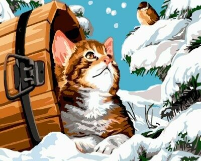 Cat & Bird on Snow