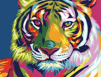 Multi-Color Tiger