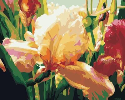 Corrine's Iris by Elizabeth Horning