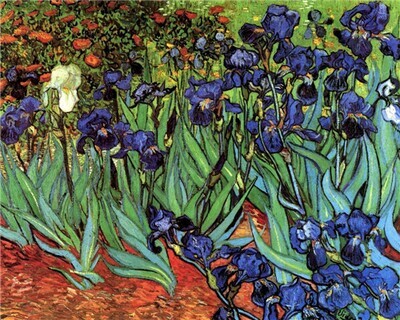 Diamond Painting- 	Irises by Vincent Van Gogh