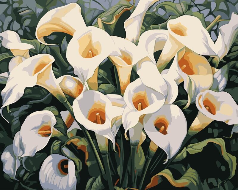 Lillies