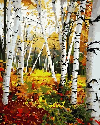 Birch Trees
