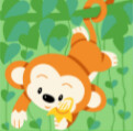 Cute Monkey