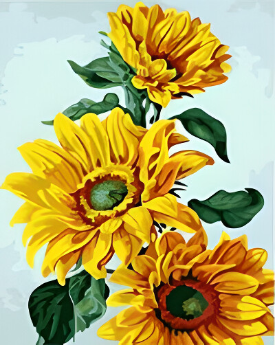 Sunflower Closeup Sunflower Closeup