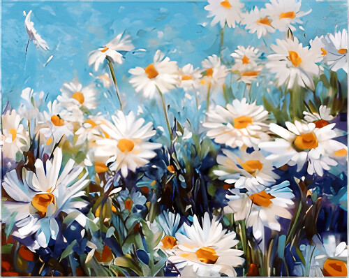 Daisy Field