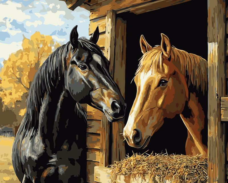 Barnside Companions