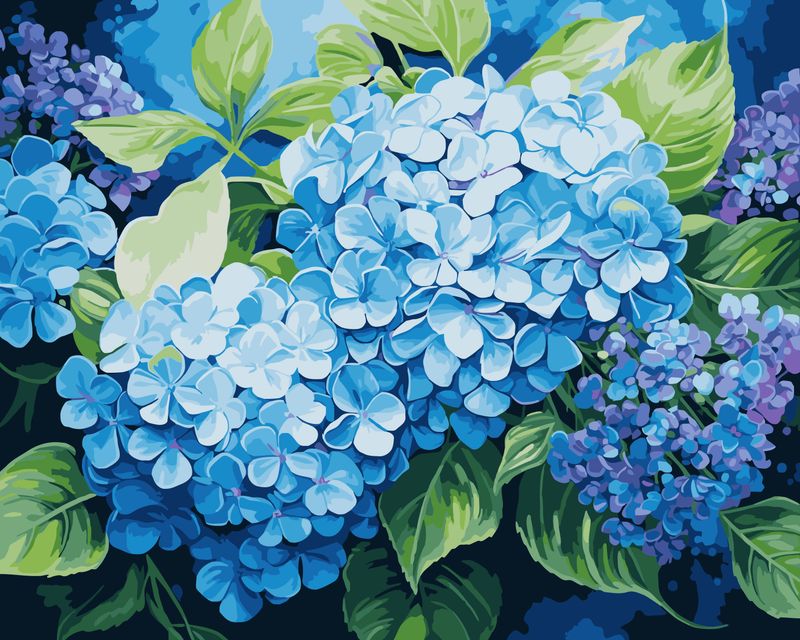 Blue Hydrangea Dreams