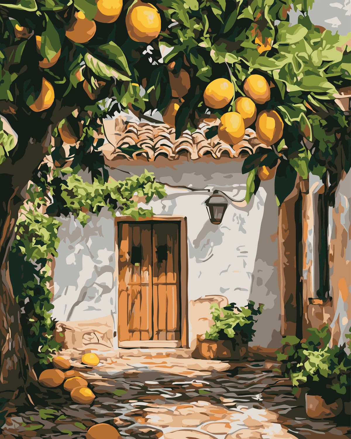Orange Grove Doorway