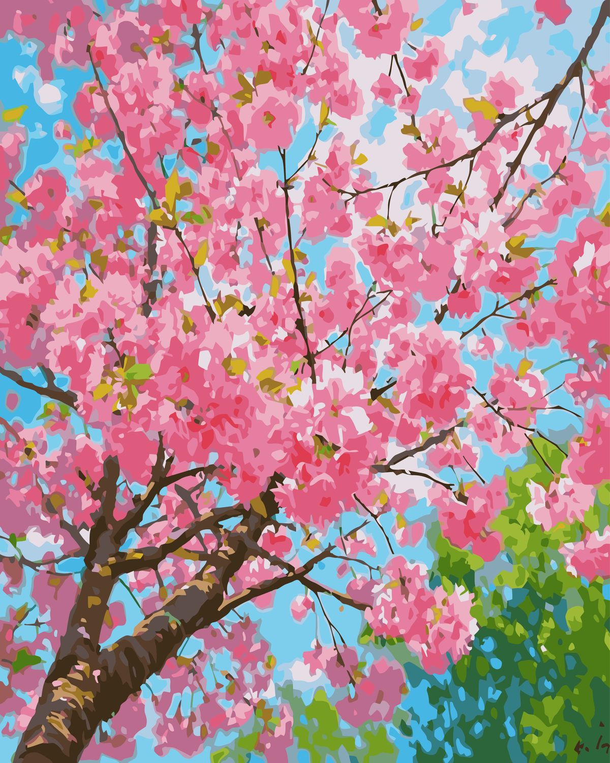 Cherry Blossom Sky