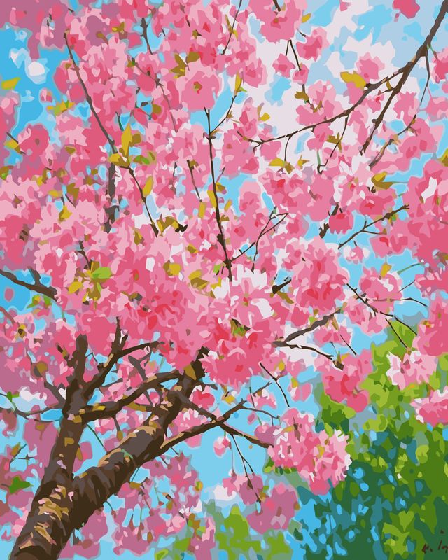 Cherry Blossom Sky