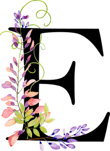 Ennaeil Collections