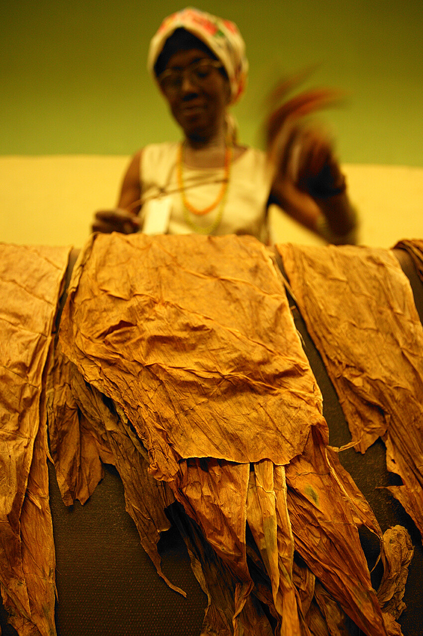 Limited Edition Photographic Print - Cigar Factory Havana