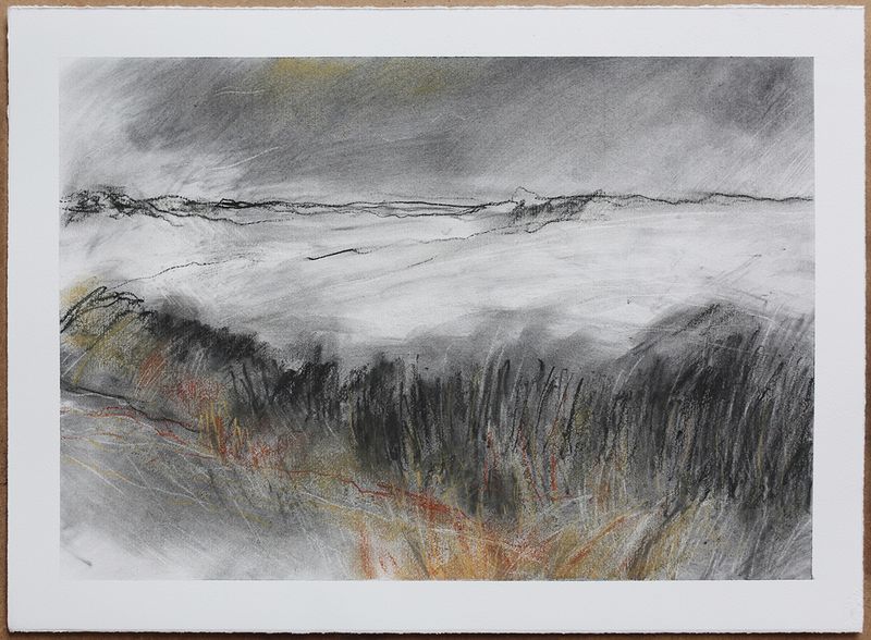 The black hill