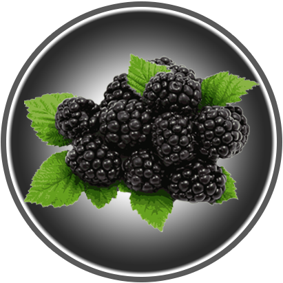 BROMBEEREN 220g