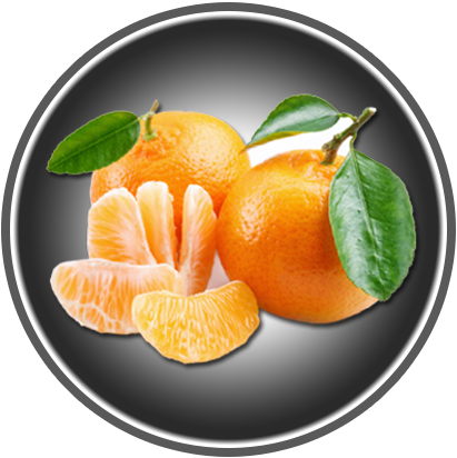 MANDARINEN 220g