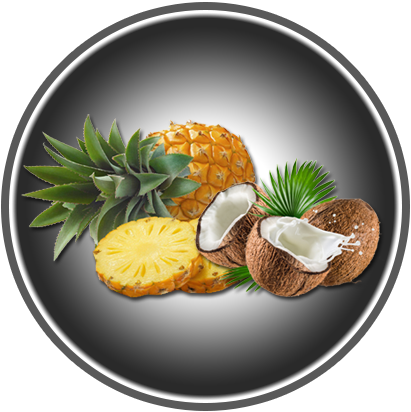 ANANAS KOKOSNUSS 220g
