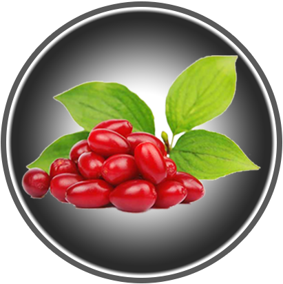 KORNELKIRSCHEN 220G