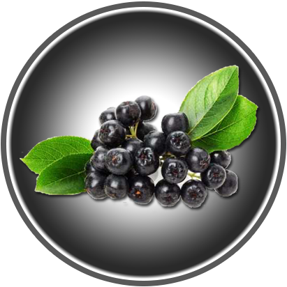 ARONIA 220g