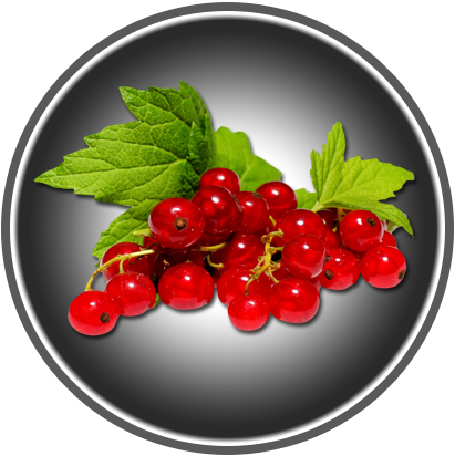 ROTE JOHANNISBEEREN 220g