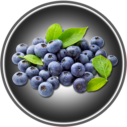 HEIDELBEEREN 220g