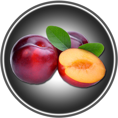 ROTE ZWETSCHGEN 220g